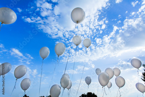 tanti palloncini bianchi che volano su nel cielo blu 