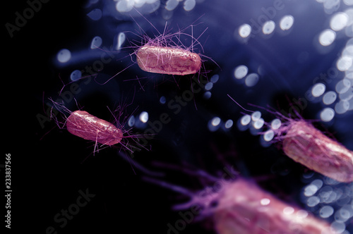 E.Coli Bacteria Cells