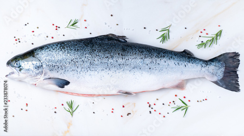 whole fresh raw big salmon fish with seasoning, salt, pepper, rosemary on white marble table, top view, long banner format