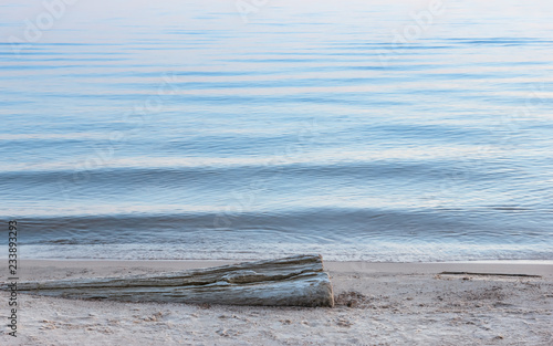 Dry Log On The Sand At The Water's Edge