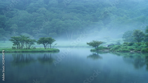 赤城山 朝霧の覚満淵