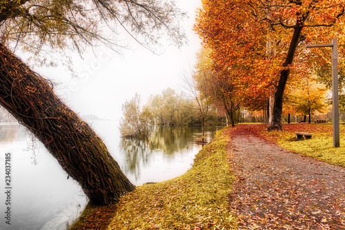 Riverside Ticino in a foggy day with colored trees