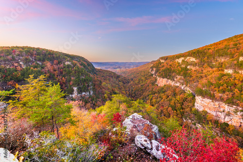 Cloudland Canyon, Georgia, USA