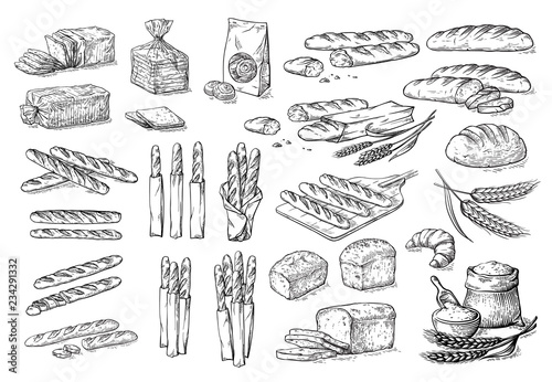collection of natural elements of bread and flour sketch vector illustration