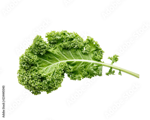 Fresh green organic kale leaf isolated on white.