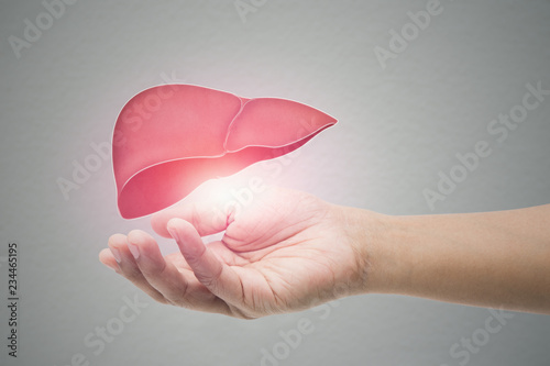 Man holding liver illustration against gray wall background. Concept with mental health protection and care.
