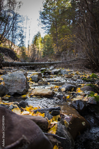 Low Angle of a Mountain River in the Fall
