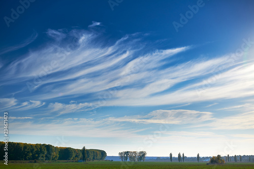 beautiful sky, field and forest in far in autumn season, bright sunlight and cirrus clouds