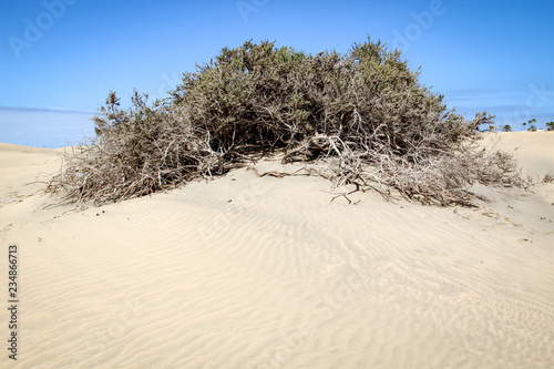 Detail einer Wüste, Dünenlandschaft
