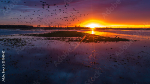 Animals on the backwaters at sunset