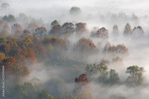 Paesaggio autunnale con nebbia e foschie, Lombardia, Italia