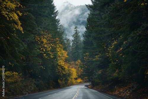 Oregon Roads & Autumn