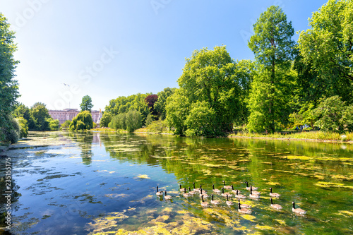 Beautiful trees and landscape of Hyde Park, London