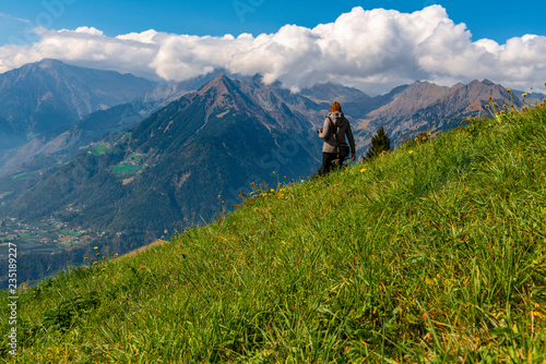 Wanderweg über eine Blumenwies in den Südtiroler Alpen 
