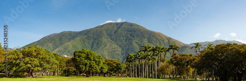View of the iconic Caracas mountain el Avila or Waraira Repano from the East Park or Parque del Este.