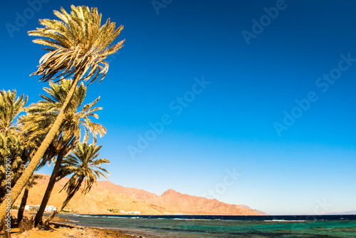 Coast of Red Sea, in Gulf of Aqaba, near Dahab.Egypt