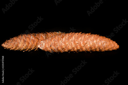 cone isolated on black background