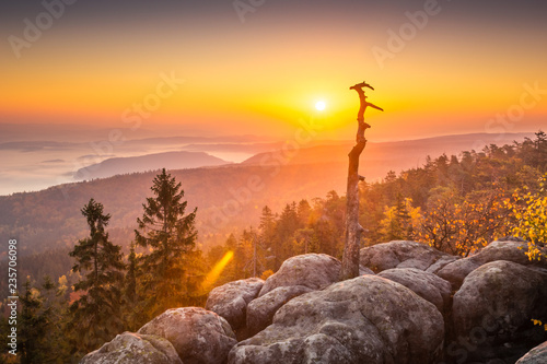 View from Szczeliniec in Stolowe mountains, Sudety, Poland