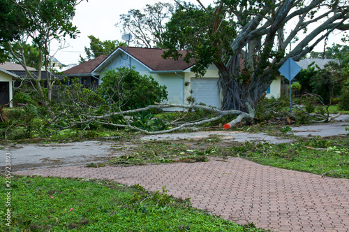 View of downed trees in front of house and hurricane irma damage in florida.