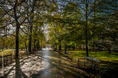 jesienny park w Krakowie po deszczu w blasku słońca