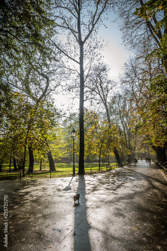 jesienny park w Krakowie po deszczu w blasku słońca