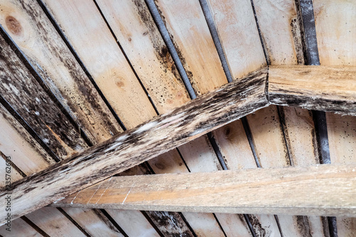 Rotting due to humidity and growth of molds wooden roof structures