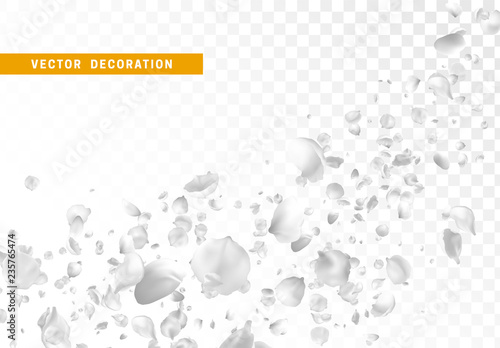 White flower petals are flying circling isolated on transparent background