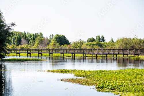 Landscape of wooden boardwalk bridge in marsh swamp, wetlands in Paynes Prairie Preserve State Park in Gainesville, Florida