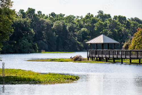 Landscape of wooden boardwalk gazebo viewing deck in marsh swamp in Paynes Prairie Preserve State Park in Gainesville, Florida