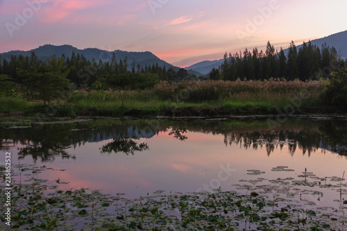 Mountain peaks sunset view with Reflection in the marsh in twilight