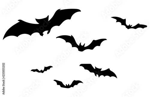 Bat