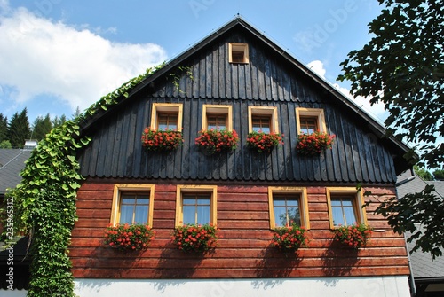Drewniana ściana domu i pelargonie w oknach
