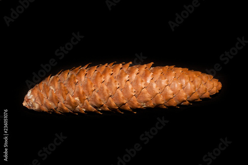 cone isolated on black background
