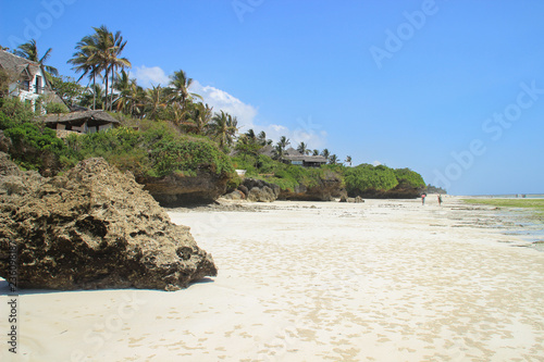 Coast of the Indian Ocean, low tide. White sand and palm trees, the beach near Mombasa, Kenya, Africa