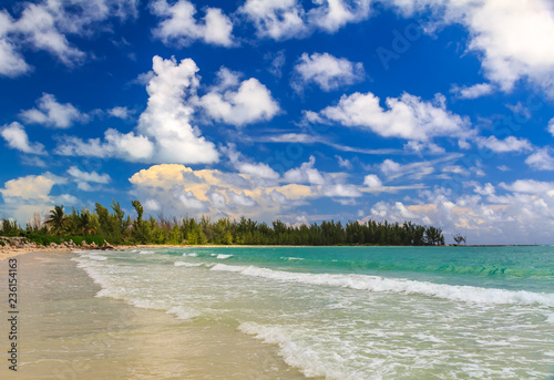 Turquoise water on a tropical sandy beach with a treeline of bahamian pine trees in the background and beautiful clouds in the sky in the Caribbean, Freeport, Bahamas