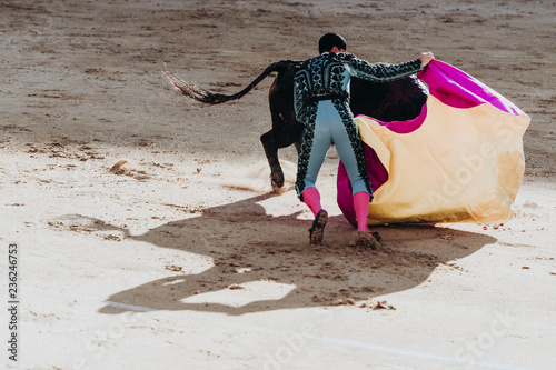 Spanish bullfight. The enraged bull attacks the bullfighter