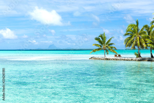 travel, seascape and nature concept - tropical beach with palm trees and sunbeds in french polynesia