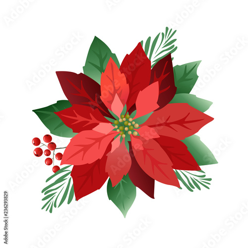 Christmas poinsettia flowers, red leaves. Cover, invitation, banner, greeting card. Vector illustration.