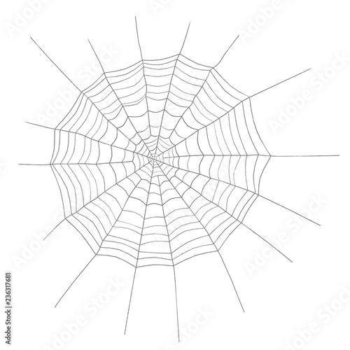3d illustration of a spider web