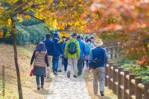 紅葉の中を歩く人々