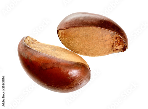 Two nuts Vitellaria paradoxa , commonly known as shea tree or shi tree, Karite. Isolated on white background