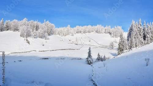 Winter in Transylvania - the Apuseni Mountains