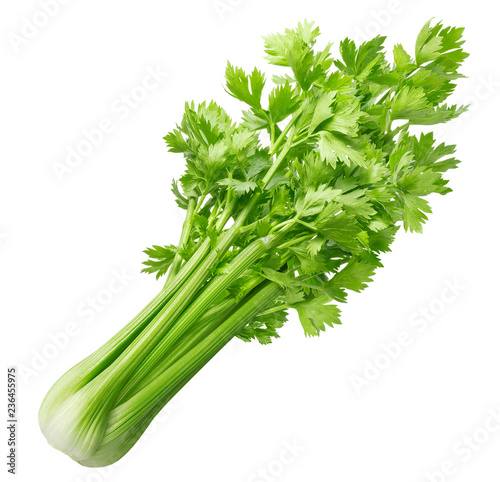 Fresh celery isolated on white background