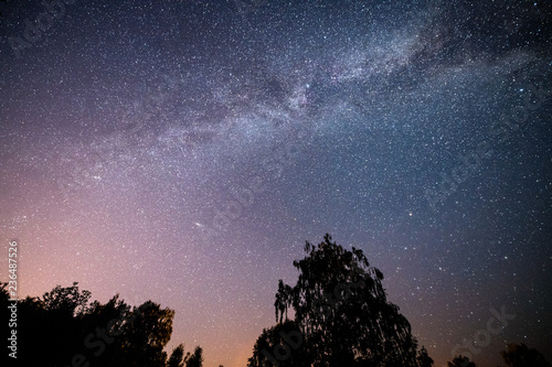 Scenic starry night sky with milky way in the forest