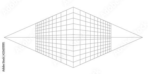 perspective grid vector