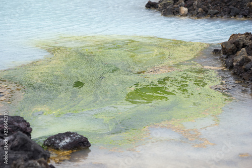 Kieselalgen in der Blauen Lagune "Bláa Lónið" - Island 