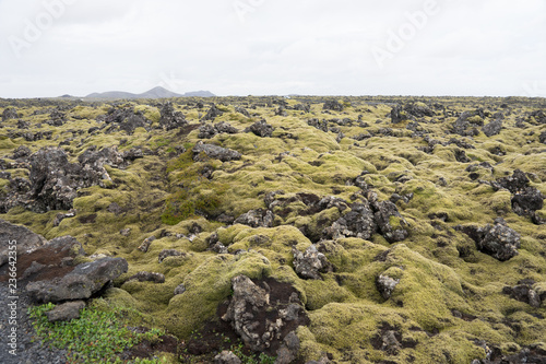 Lavafeld bei der „blauen Lagune“ (Bláa Lónið) - Island 