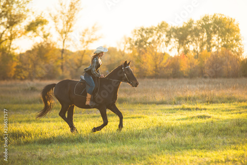 Girl equestrian rider riding a beautiful horse in the rays of the setting sun. Horse theme 