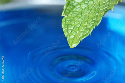 Beautiful green leaf with water drop on blue background, closeup. Space for text