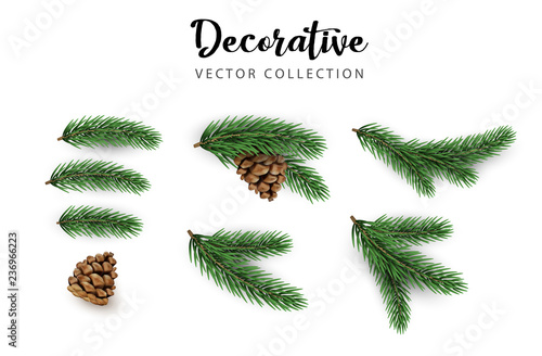 Set of green decorative fir branches with cones isolated on white for Christmas and New Year design.
